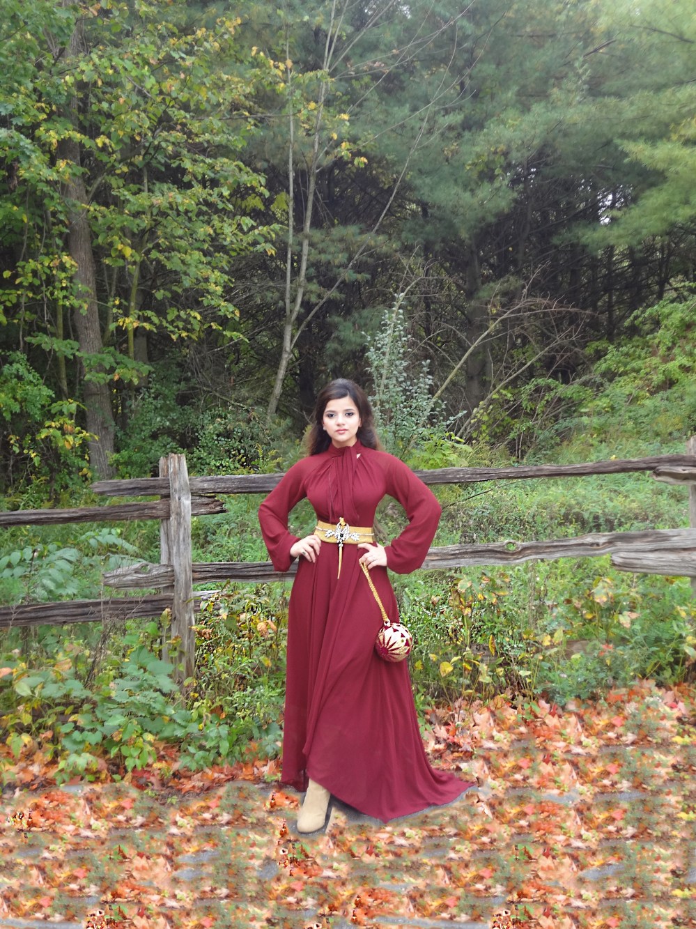 Fall Look wit Fall Leaves.jpg